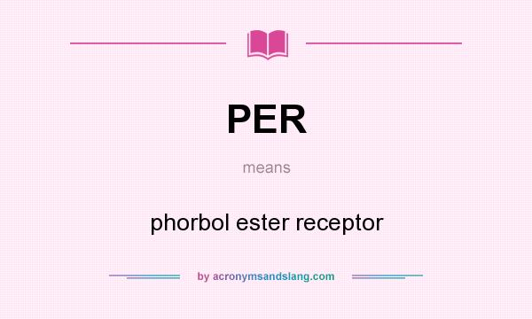 What does PER mean? It stands for phorbol ester receptor