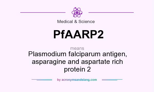 What does PfAARP2 mean? It stands for Plasmodium falciparum antigen, asparagine and aspartate rich protein 2