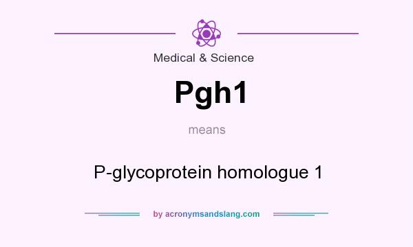 What does Pgh1 mean? It stands for P-glycoprotein homologue 1