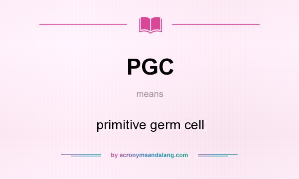 What does PGC mean? It stands for primitive germ cell