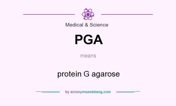 What does PGA mean? It stands for protein G agarose
