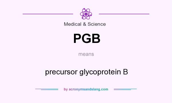 What does PGB mean? It stands for precursor glycoprotein B