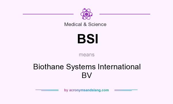 What does BSI mean? It stands for Biothane Systems International BV