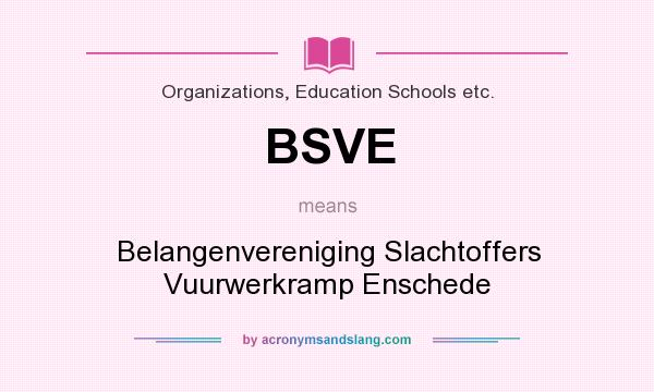 What does BSVE mean? It stands for Belangenvereniging Slachtoffers Vuurwerkramp Enschede