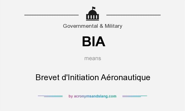What does BIA mean? It stands for Brevet d`Initiation Aéronautique