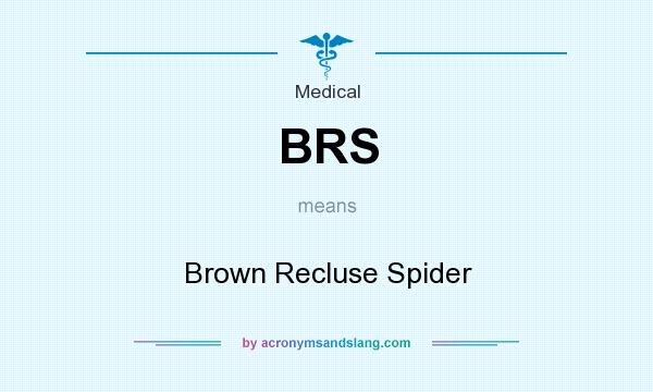 What does BRS mean? It stands for Brown Recluse Spider