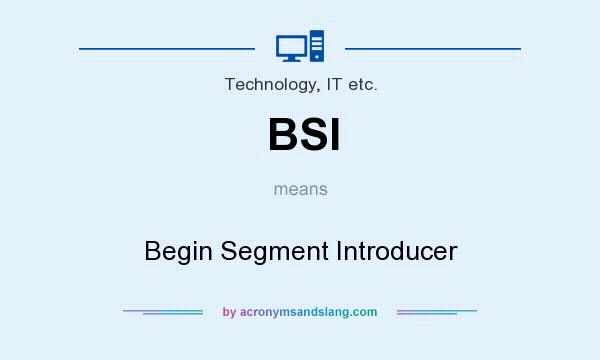 What does BSI mean? It stands for Begin Segment Introducer