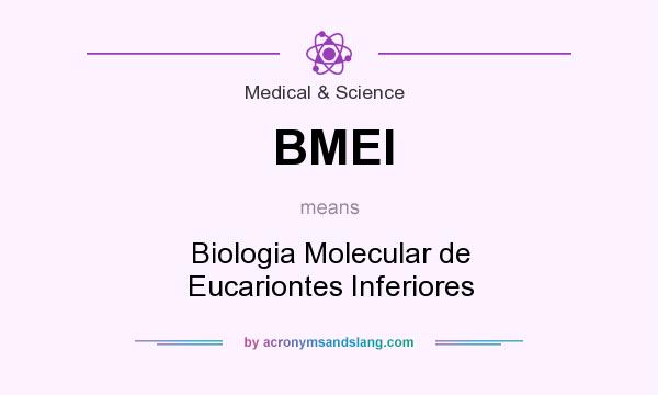 What does BMEI mean? It stands for Biologia Molecular de Eucariontes Inferiores