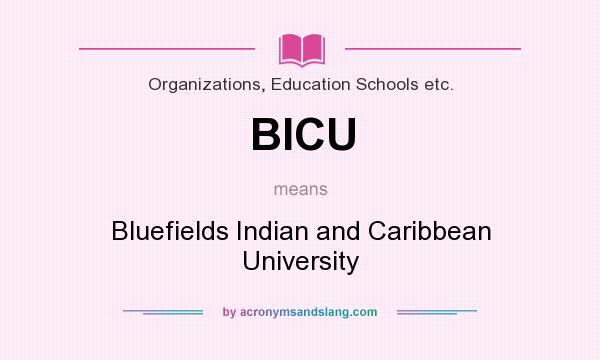 What does BICU mean? It stands for Bluefields Indian and Caribbean University