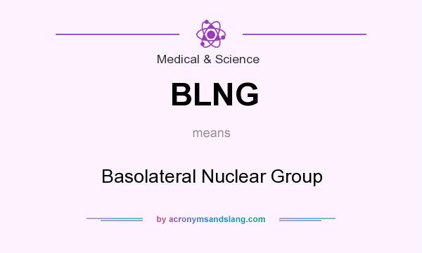 What does BLNG mean? It stands for Basolateral Nuclear Group