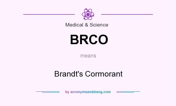 What does BRCO mean? It stands for Brandt`s Cormorant