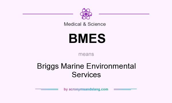 What does BMES mean? It stands for Briggs Marine Environmental Services