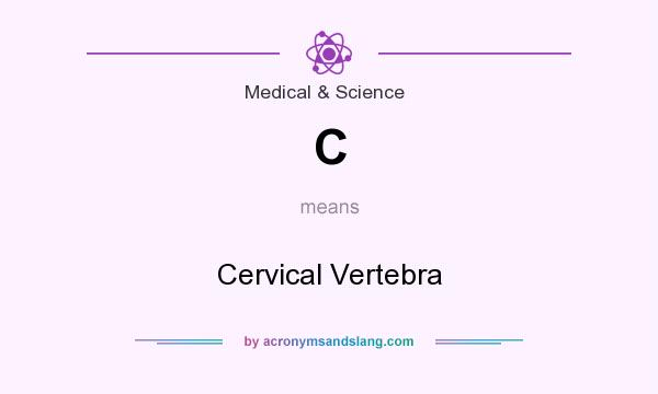 What does C mean? It stands for Cervical Vertebra