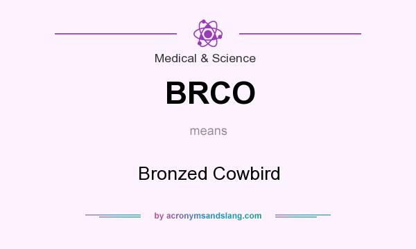 What does BRCO mean? It stands for Bronzed Cowbird