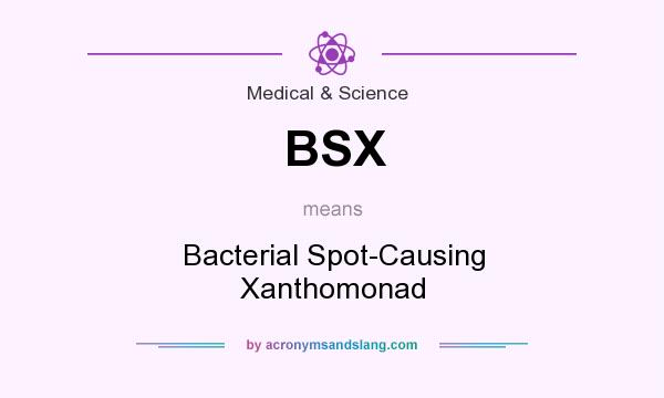What does BSX mean? It stands for Bacterial Spot-Causing Xanthomonad