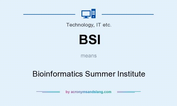 What does BSI mean? It stands for Bioinformatics Summer Institute