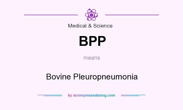 What does BPP mean? It stands for Bovine Pleuropneumonia