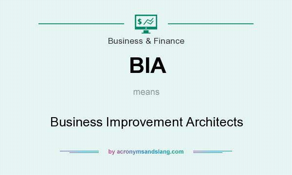 What does BIA mean? It stands for Business Improvement Architects