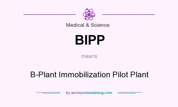What does BIPP mean? It stands for B-Plant Immobilization Pilot Plant