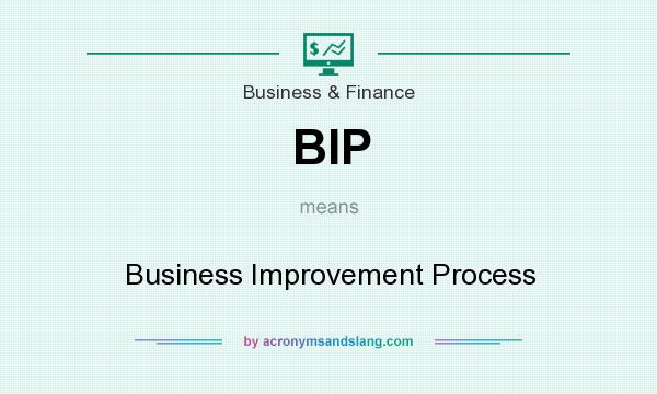 What does BIP mean? It stands for Business Improvement Process