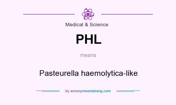 What does PHL mean? It stands for Pasteurella haemolytica-like