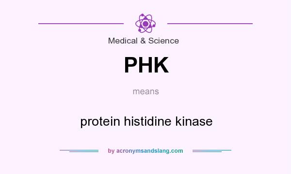 What does PHK mean? It stands for protein histidine kinase