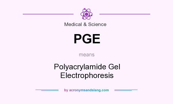 What does PGE mean? It stands for Polyacrylamide Gel Electrophoresis