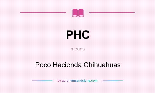 What does PHC mean? It stands for Poco Hacienda Chihuahuas