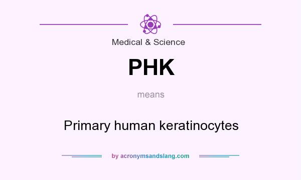 What does PHK mean? It stands for Primary human keratinocytes