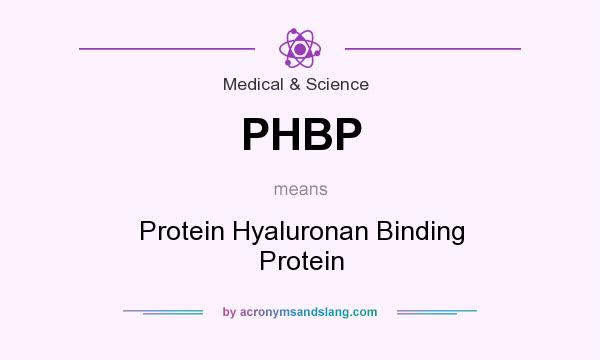 What does PHBP mean? It stands for Protein Hyaluronan Binding Protein