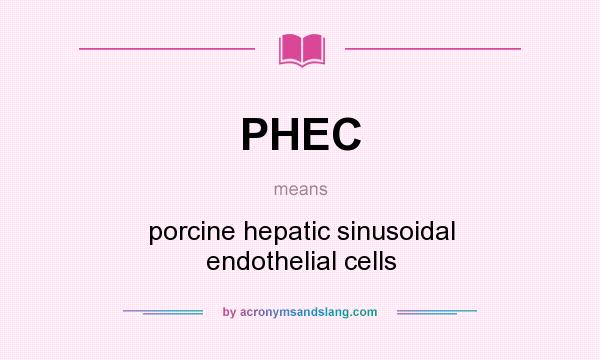 What does PHEC mean? It stands for porcine hepatic sinusoidal endothelial cells