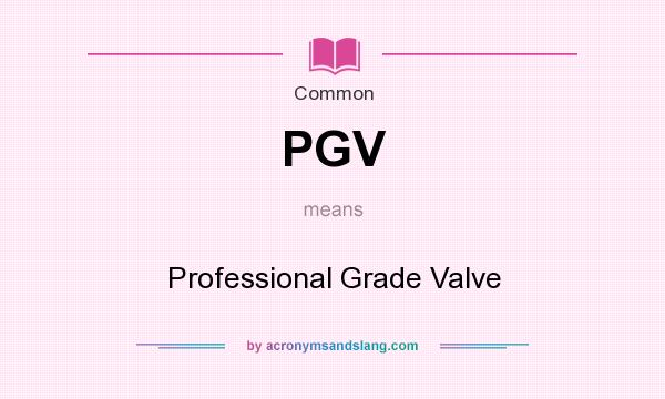What does PGV mean? It stands for Professional Grade Valve