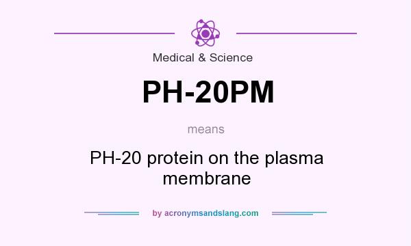 What does PH-20PM mean? It stands for PH-20 protein on the plasma membrane