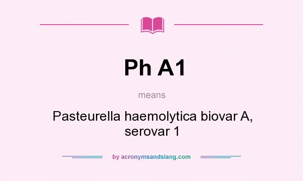 What does Ph A1 mean? It stands for Pasteurella haemolytica biovar A, serovar 1