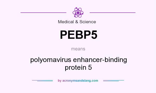 What does PEBP5 mean? It stands for polyomavirus enhancer-binding protein 5