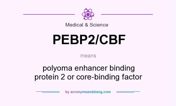 What does PEBP2/CBF mean? It stands for polyoma enhancer binding protein 2 or core-binding factor