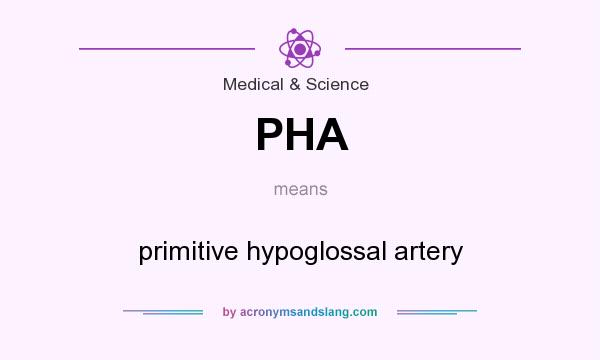 What does PHA mean? It stands for primitive hypoglossal artery