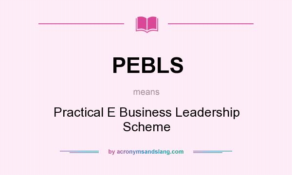 What does PEBLS mean? It stands for Practical E Business Leadership Scheme
