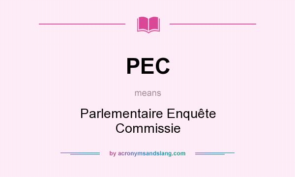 What does PEC mean? It stands for Parlementaire Enquête Commissie