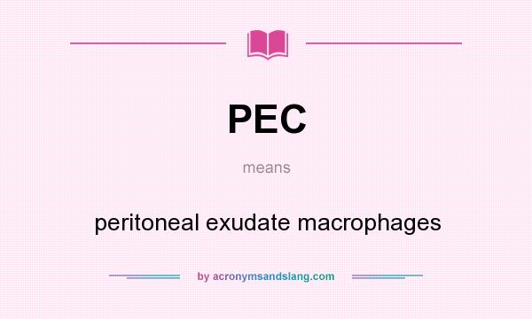 What does PEC mean? It stands for peritoneal exudate macrophages