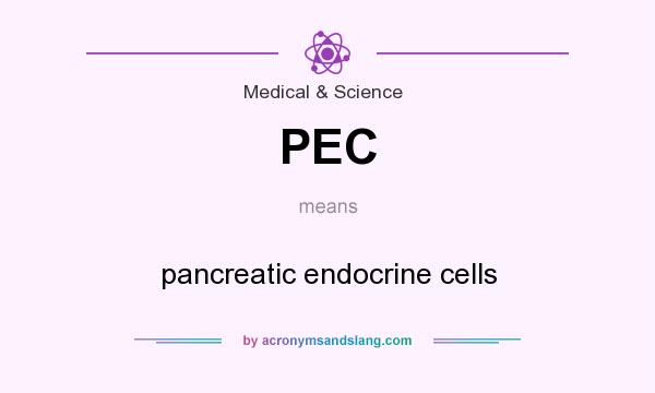 What does PEC mean? It stands for pancreatic endocrine cells