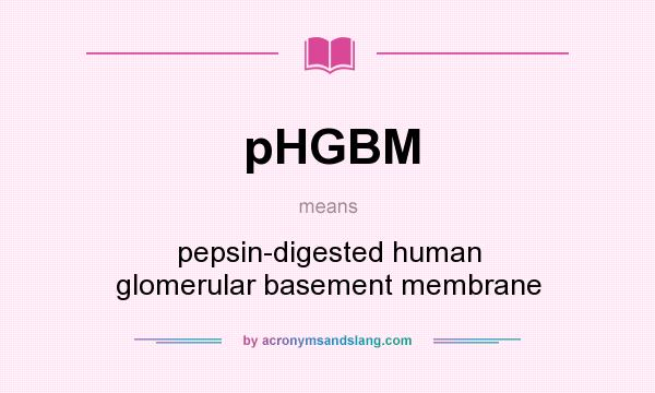 What does pHGBM mean? It stands for pepsin-digested human glomerular basement membrane