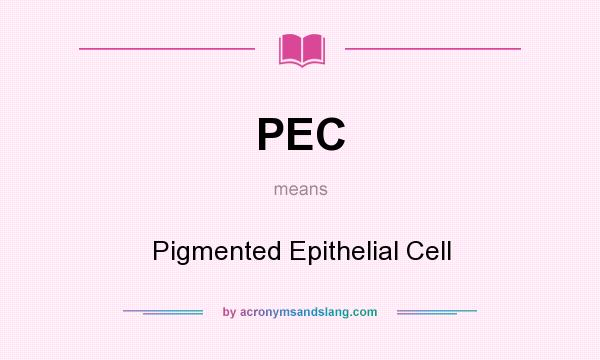 What does PEC mean? It stands for Pigmented Epithelial Cell