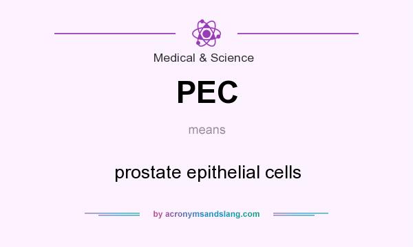 What does PEC mean? It stands for prostate epithelial cells