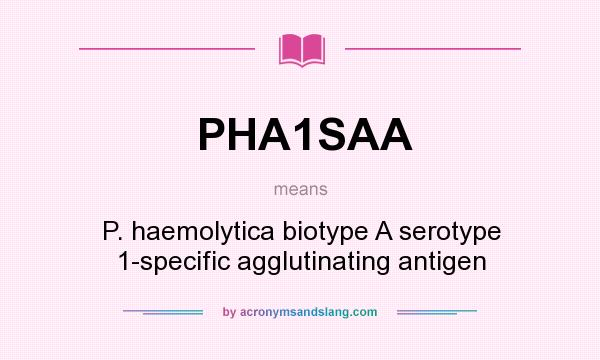 What does PHA1SAA mean? It stands for P. haemolytica biotype A serotype 1-specific agglutinating antigen