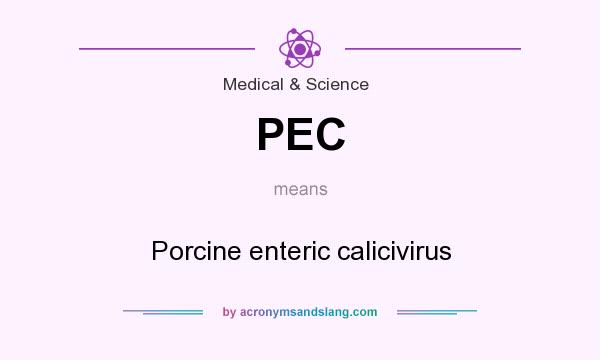 What does PEC mean? It stands for Porcine enteric calicivirus