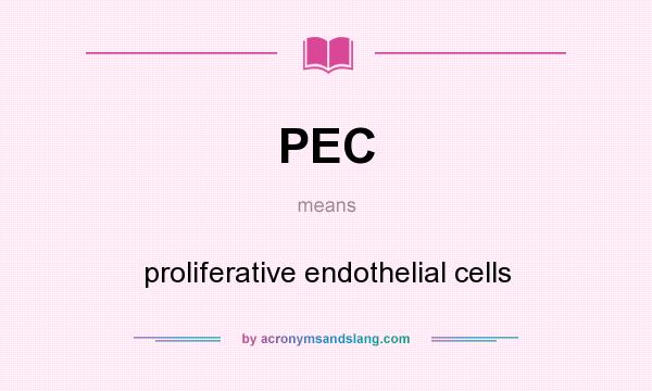 What does PEC mean? It stands for proliferative endothelial cells