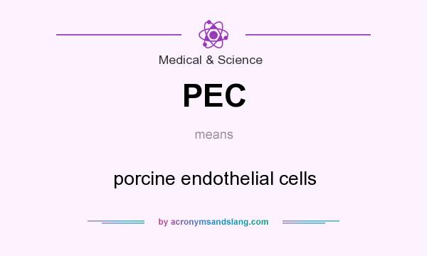 What does PEC mean? It stands for porcine endothelial cells