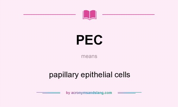 What does PEC mean? It stands for papillary epithelial cells