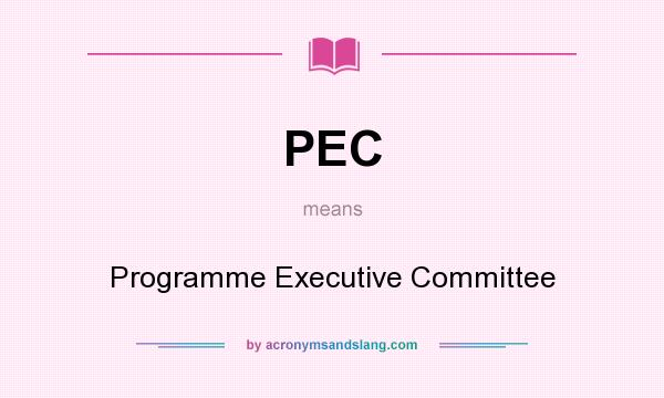 What does PEC mean? It stands for Programme Executive Committee